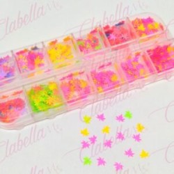Decoración HOJA MAPLE NEON para uñas en pastillero – estuche de 13x5cm con 12 divisiones y tapa individual, surtido
