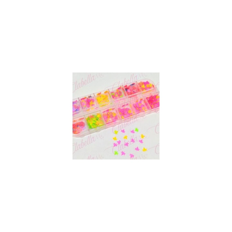 Decoración HOJA MAPLE NEON para uñas en pastillero – estuche de 13x5cm con 12 divisiones y tapa individual, surtido