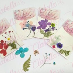 Decoración NATURALEZA MUERTA JUMBO para uñas aprox 4 piezas por sobre, surtido 43#-151