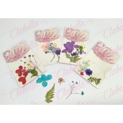 Decoración NATURALEZA MUERTA JUMBO para uñas aprox 4 piezas por sobre, surtido 43#-151
