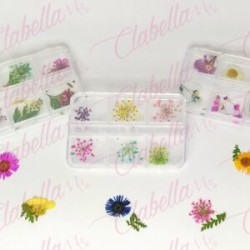 Decoración NATURALEZA MUERTA MEDIANA  para uñas en pastillero – estuche de 8x5cm con 6 divisiones minimo 6 piezas, surtido
