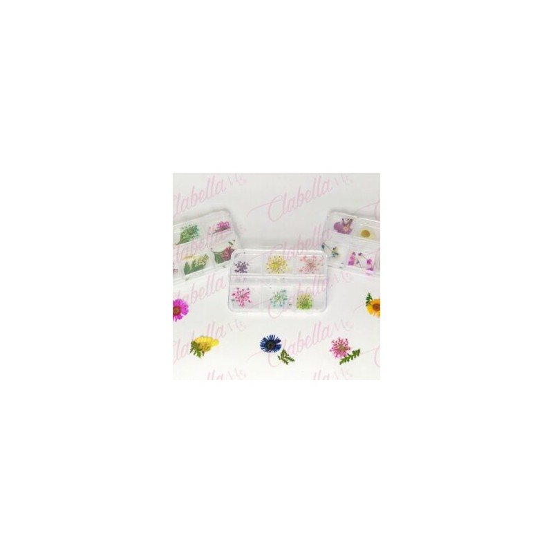 Decoración NATURALEZA MUERTA MEDIANA  para uñas en pastillero – estuche de 8x5cm con 6 divisiones minimo 6 piezas, surtido