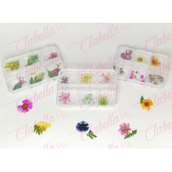 Decoración NATURALEZA MUERTA MEDIANA  para uñas en pastillero – estuche de 8x5cm con 6 divisiones minimo 6 piezas, surtido