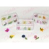 Decoración NATURALEZA MUERTA MEDIANA  para uñas en pastillero – estuche de 8x5cm con 6 divisiones minimo 6 piezas, surtido